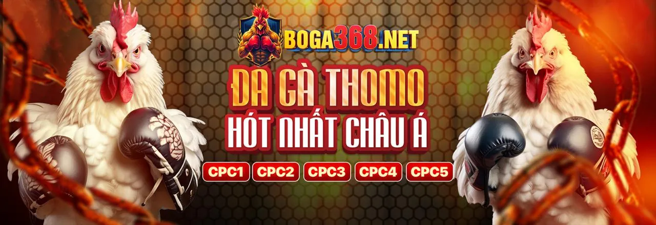 Tương lai phát triển của b29