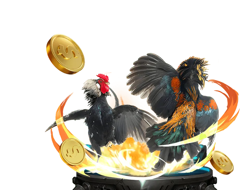 Cộng đồng người chơi b29